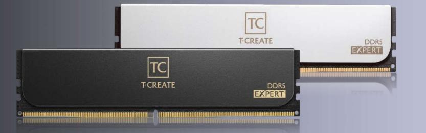TEAM 2G6000Hc38Adc01 Memory Module (CTCWD532G6000HC38ADC01)