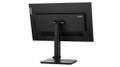 LENOVO Thinkvision T24M-20 Led  (62CDGAR6EU)