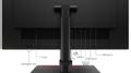 LENOVO Thinkvision T24M-20 Led  (62CDGAR6EU)