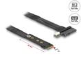 DELOCK M.2 Key M to U.2 SFF-8639 NVMe Adapter with 20 cm cable