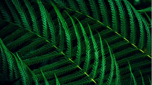 PHILIPS 27B2G5200/ 00 (27B2G5200/00)