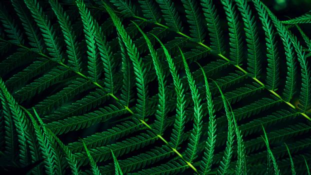 PHILIPS 27B2G5500/ 00 (27B2G5500/00)