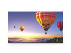 Sharp / NEC LED-E012i-217, E-Series 217",