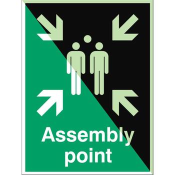 BRADY Glow-in-the-dark safety sign (E/E007/EN3-SA-PHOLUMB-300X400/1-B)