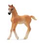 Schleich Horse Club        13984 Arabian Foal