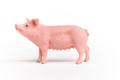 SCHLEICH Farm World     13933 Pig (13933)