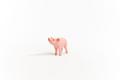 SCHLEICH Farm World     13934 Piglet (13934)