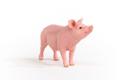 SCHLEICH Farm World     13933 Pig (13933)