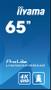 IIYAMA 65" LCD UHD (LH6560UHS-B2AG)