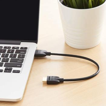 TECHLY Icoc Hdmi2-4-005T Hdmi Cable  (ICOC-HDMI2-4-005T)