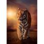 CLEMENTONI 1000 pcs. CB High Quality Collection Tiger (39773)