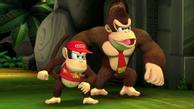 Nintendo Donkey Kong Country Returns HD (10013855)