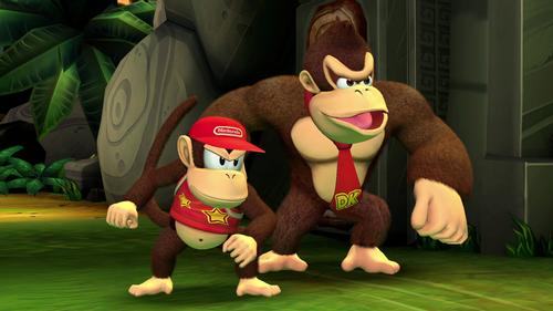 NINTENDO Donkey Kong Country Returns HD (10013855)