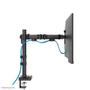 NEOMOUNTS DS60-600BL1,  Single Monitor  (DS60-600BL1)