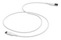 MOPHIE ESSENTIALS CABLE USB-A TO USB-C 2M WHITE CABL