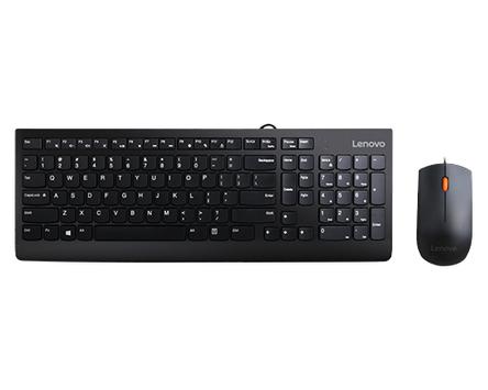 Lenovo 300 Keyboard Mouse Included  (GX30M39606)