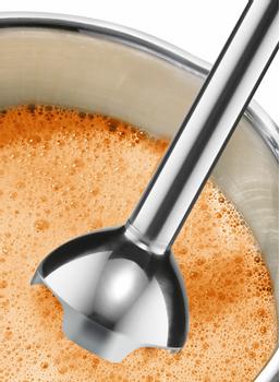 BOSCH SB MSM 24100 CleverMixx (MSM24100)