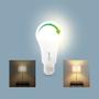 INLINE SmartHome LED bulb RGB E27, 900LM (40159B)