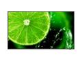 Sharp / NEC MultiSync E498 49inch E Series large format display UHD 350cd/m2 Direct LED backlight 16/7 proof Media Player