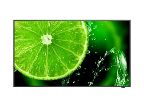 NEC E438 43in E Series large format display UHD 350cd/m2 IN (60005045)