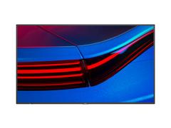 NEC MultiSync P495 49" 4K UHD IPS 16:9 700 Nits 24/7