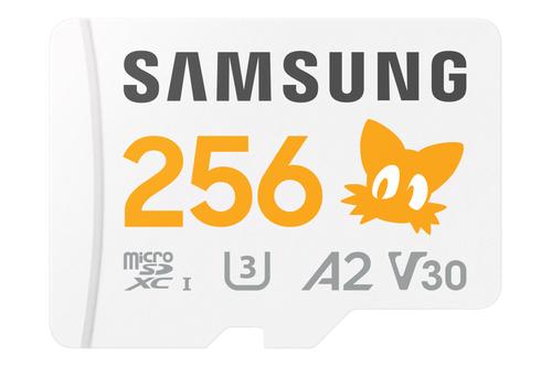 SAMSUNG Mb-Md256S 256 Gb Microsdxc (MB-MD256SA/LC1)