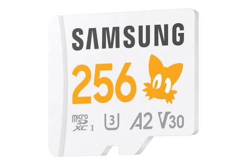 SAMSUNG Mb-Md256S 256 Gb Microsdxc (MB-MD256SA/LC1)