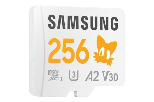 SAMSUNG Mb-Md256S 256 Gb Microsdxc (MB-MD256SA/LC1)