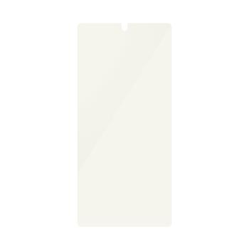 PanzerGlass All-IN-1 SAMSUNG S 2025 ULTRA UWF ACCS (PGRUWFAG38488)