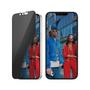 PanzerGlass iIPHONE SE (2025) /14/13/13 PRO UWF PRIVACY W. ALI ACCS