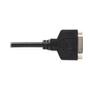 TRIPP LITE TRIPPLITE DisplayPort to DVI-I Adapter Cable M/F 6inch 15.2cm (P134-000)