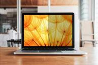 3M Privacy Filters Frameless (7100312419)