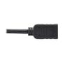 TRIPP LITE TRIPPLITE DisplayPort to HDMI Video Adapter Video Converter M/F HDCP Black 1ft. (P136-001)