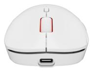 GENESIS Zircon XIII Custom Wireless RG (NMG-2090)