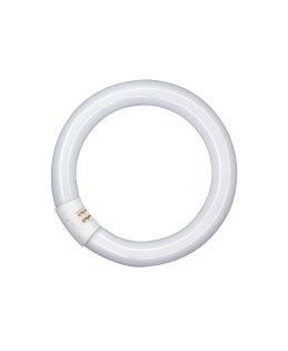OSRAM Lumilux Fluorescent Bulb 32 W (4008321581143)