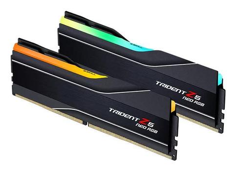 G.SKILL 48G24Gx2-Tz5Nr Memory Module  (F5-8000J4048G24GX2-TZ5NR)
