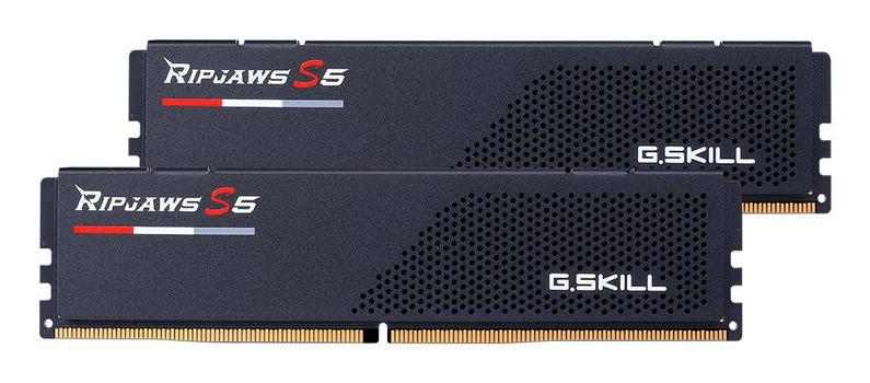 G.SKILL 036F16Gx2-Rs5K Memory Module  (F5-6000J3036F16GX2-RS5K)