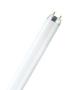 OSRAM Lumilux T8 Fluorescent Bulb