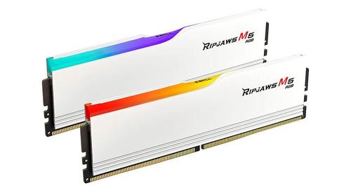 G.SKILL 45A32Gx2-Rm5Rw Memory Module (F5-5600J4645A32GX2-RM5RW)