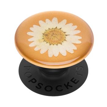 POPSOCKETS Pressed Flower White Daisy Avtagbart Grip med Ställfunktion Premium (801476)