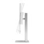 ASUS LCD ASUS 31.5"" ProArt PA32UCDM 4K 3840x2160p QD-OLED 240Hz Thunderbolt 4 96W PD Ergonomic Stand (90LM03HE-B01K70)