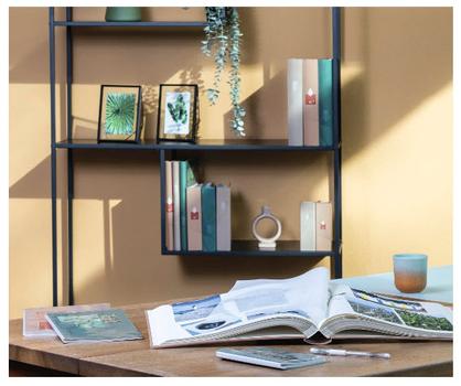 HAMA Memo  Singo II        10x15 100 Photos Cotton 7634 (7634)