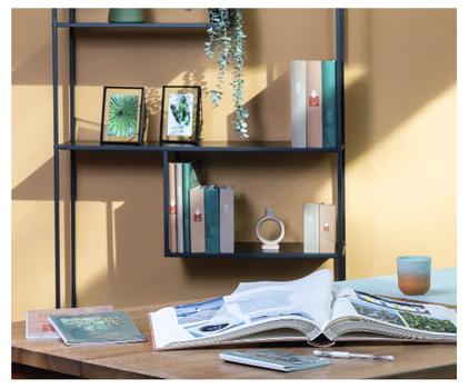 HAMA Memo  Singo II        10x15 100 Photos Leaves 7633 (7633)