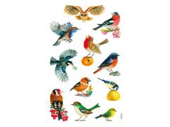 AVERY Z-DESIGN Etikett AVERY dekor sangfugler (3)