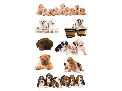 Z-Design Etikett AVERY dekor hundevalper (3) (55972)