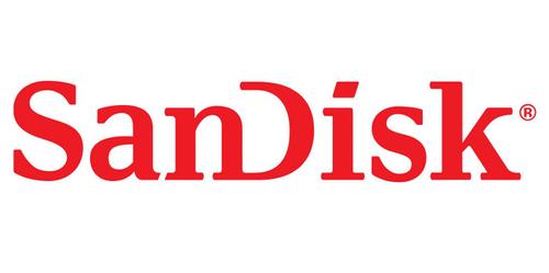 SANDISK Ultra Luxe USB Type-C Flash Drive 1TB USB 3.2 Gen 1 Performance with a Premium Metal Design (SDCZ75-1T00-G46)