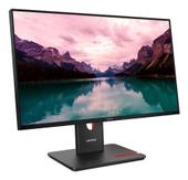 Lenovo Thinkvision T24-40 Computer  (64A4MARXEU)