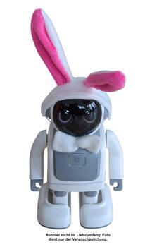 ALLNET Robert - zbh. Verkleidung Easter Edition (Robert-Easter)