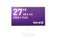 Terra 60,5cm/23,8"" (1920x1080) TERRA 2465W PV 16:9 FHD IPS 5ms HDMI DP Speaker White