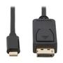 TRIPP LITE TRIPPLITE USB-C to DisplayPort Bi-Directional Active Adapter Cable M/M 4K 60 HDR Locking DP Connector 6ft. 1.8m